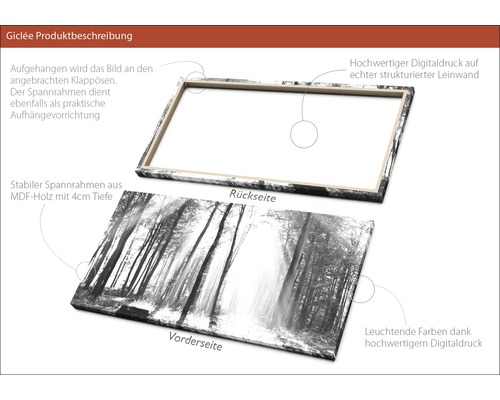 Leinwandbild mit Waldmotiv, Ansicht von Vorder- und Rückseite