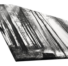 Tableau sur toile giclée Sun drenched forest I100x200 cm