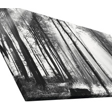 Tableau sur toile giclée Sun drenched forest I 80x160 cm