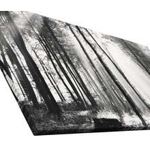 Tableau sur toile giclée Sun drenched forest I 90x180 cm