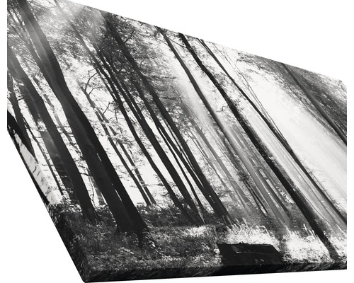 Tableau sur toile avec motif de forêt en noir et blanc