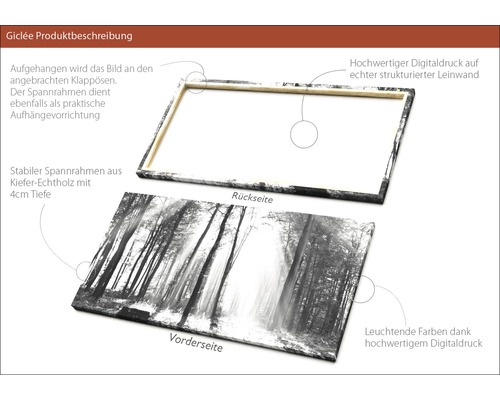 Ansicht der Vorder- und Rückseite einer Leinwand mit Waldmotiv und Kiefernholzrahmen