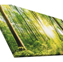 Tableau sur toile giclée Wonderfull Forest II 50x100 cm
