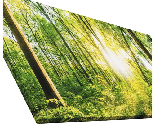 Impression sur toile avec motif de forêt et soleil