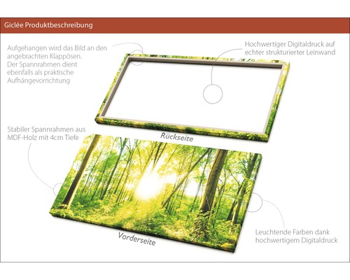 Digitaldruck auf Leinwand mit Waldmotiv und MDF Rahmen.