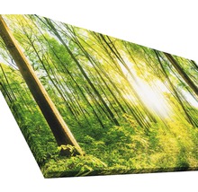 Tableau sur toile giclée Wonderfull Forest II 100x200 cm
