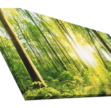 Tableau sur toile giclée Wonderfull Forest II 80x160 cm
