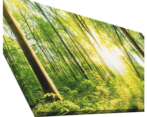 Impression sur toile avec motif de forêt
