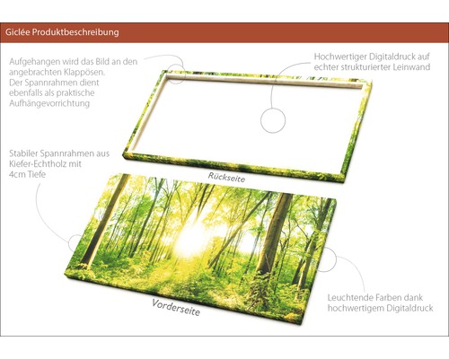 Leinwandbild mit Waldmotiv, Rückseite mit Spannrahmen und Aufhängevorrichtung