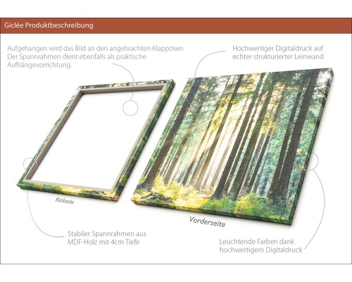 Produktbeschreibung einer Giclée Leinwand mit Waldmotiv und MDF Rahmen