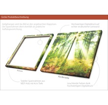 Giclée Kunstdruck auf Leinwand mit Waldmotiv und Holzrahmen