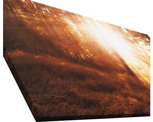 Tableau sur toile avec motif de forêt et rayons de soleil