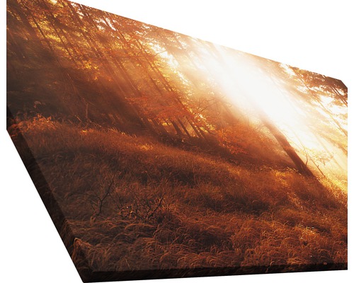 Impression sur toile avec motif de forêt et lumière du soleil