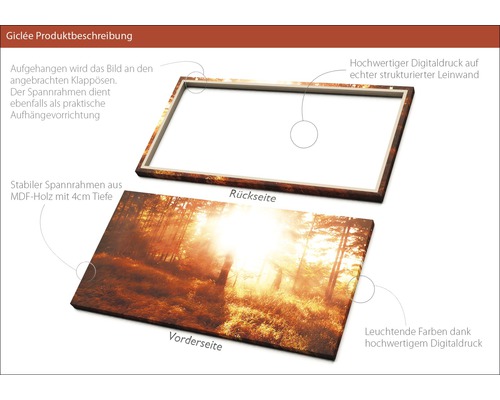 Detailansicht eines Keilrahmens mit Waldmotiv, MDF Rahmen 4 cm tief