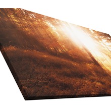 Giclée Leinwandbild Autumn forest III 100x200 cm
