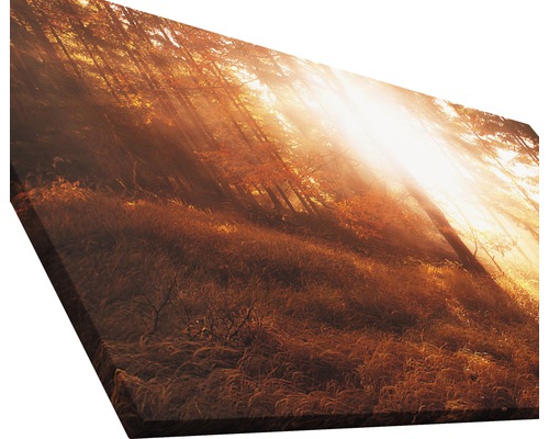 Tableau sur toile avec motif de forêt et rayons de soleil