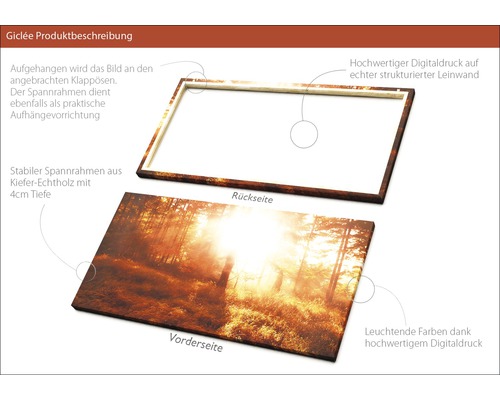 Leinwandbild mit Waldmotiv, Vorder- und Rückseite sichtbar