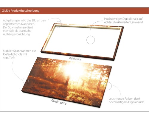 Detailansicht eines Giclée-Drucks auf Leinwand mit Kiefernholzrahmen, Vorder- und Rückseite.