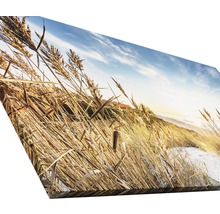 Giclée Leinwandbild Wilder Strand III 100x200 cm