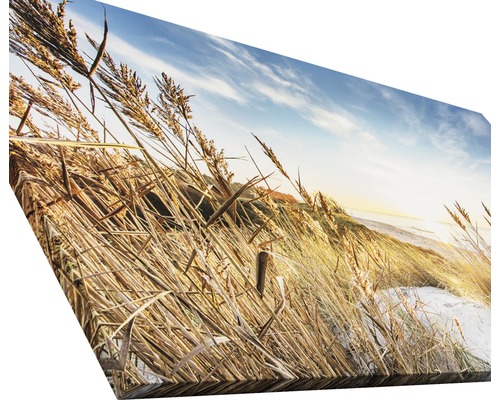 Leinwandbild mit Strandhafermotiv und Küstenlandschaft