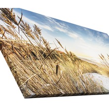 Giclée Leinwandbild Wilder Strand III 90x180 cm