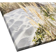 Leinwandbild mit Strandmotiv und Gräsern
