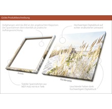 Giclée Kunstdruck auf Leinwand mit Spannrahmen aus MDF-Holz
