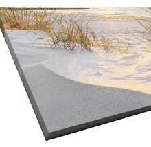 Leinwandbild mit Strandmotiv und Gras