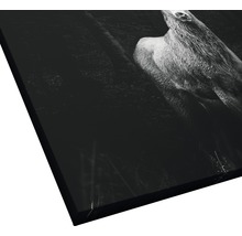 Giclée Leinwandbild Deer 100x100 cm