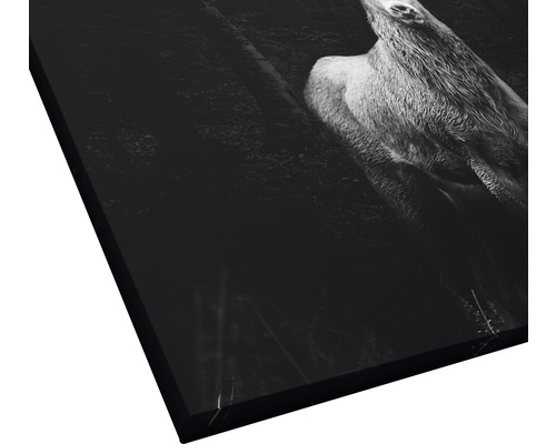 Tableau sur toile avec motif de cerf