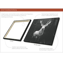 Giclée Leinwandbild Deer 100x100 cm