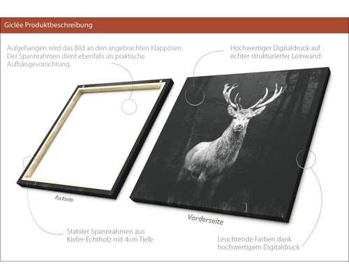 Schwarz-Weiß-Leinwanddruck eines Hirsches auf einem Holzrahmen