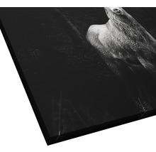 Giclée Leinwandbild Deer 80x80 cm
