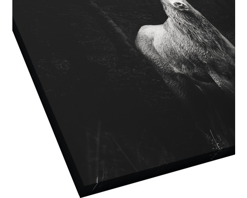 Leinwandbild mit Hirschmotiv