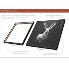 Giclée Leinwandbild Deer 80x80 cm