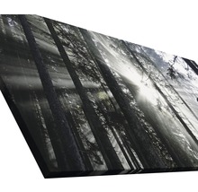 Tableau sur toile giclée Sundrenched Forest IV 50x100 cm