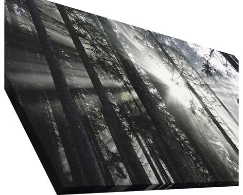 Toile décorative avec motif de forêt et lumière du soleil