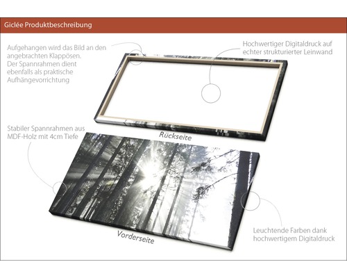 Produktbeschreibung Giclée: Rückseite und Vorderseite einer Leinwand mit MDF Rahmen