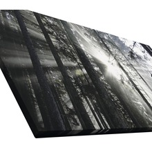 Tableau sur toile giclée Sundrenched Forest IV 60x120 cm