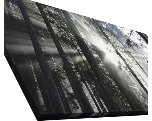 Image sur toile avec motif de forêt et rayons de soleil