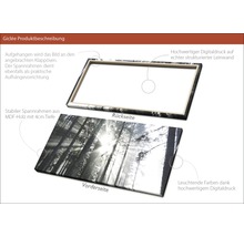 Giclée Leinwandbild Sundrenched Forest IV 60x120 cm