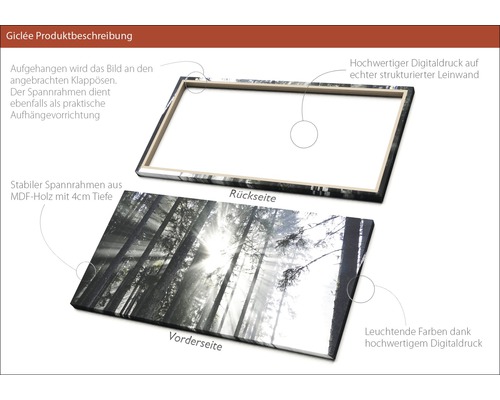Leinwandbild mit Waldmotiv, Vorder- und Rückseite