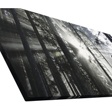 Tableau sur toile giclée Sundrenched Forest IV 100x200 cm