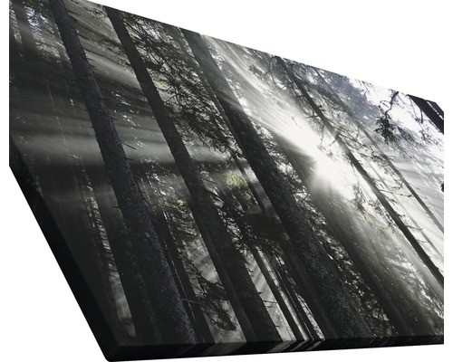 Tableau sur toile avec motif de forêt et rayons de soleil