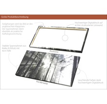 Giclée Leinwandbild Sundrenched Forest IV 100x200 cm