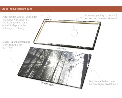 Detailansicht eines Leinwandbildes mit Waldmotiv, das die Aufhängevorrichtung und den Spannrahmen zeigt