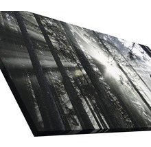 Tableau sur toile giclée Sundrenched Forest IV 80x160 cm