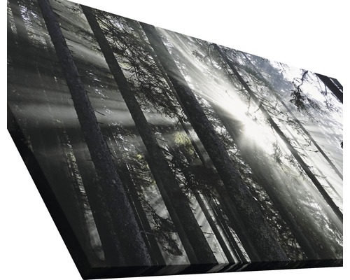 Tableau sur toile avec motif de forêt et rayons de soleil