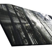 Tableau sur toile giclée Sundrenched Forest IV 90x180 cm