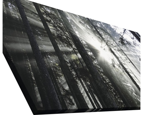 Image murale avec motif de forêt et rayons de soleil